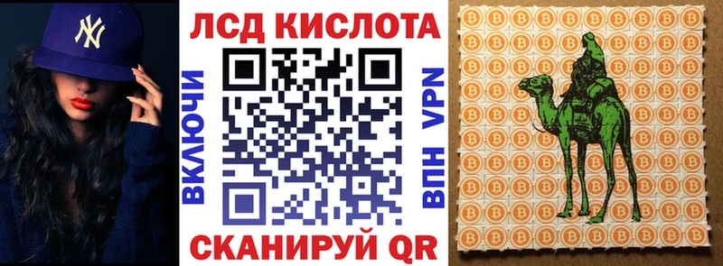 МЕГА ССЫЛКА  где купить наркоту  Дубна  Марки NBOMe 1,8мг 